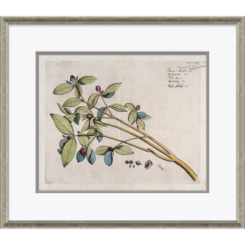 Malaberica (Colored) Giclee Print by Paul Cezanne