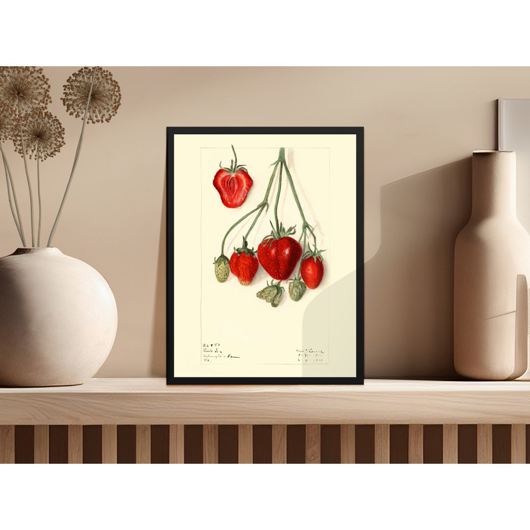 No Frame Print