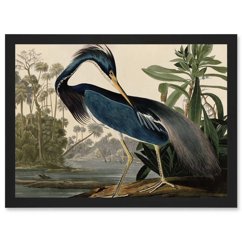 Birds Louisiana Blue Heron 1 Piece Single Picture Frame Painting