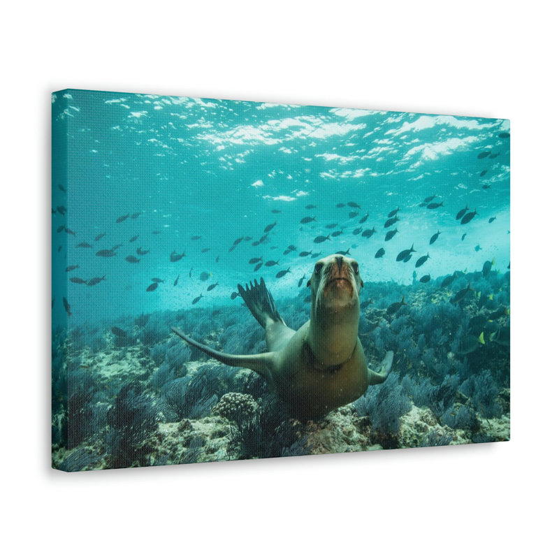 No Frame Print on Canvas, 27.94cm H x 35.56cm W