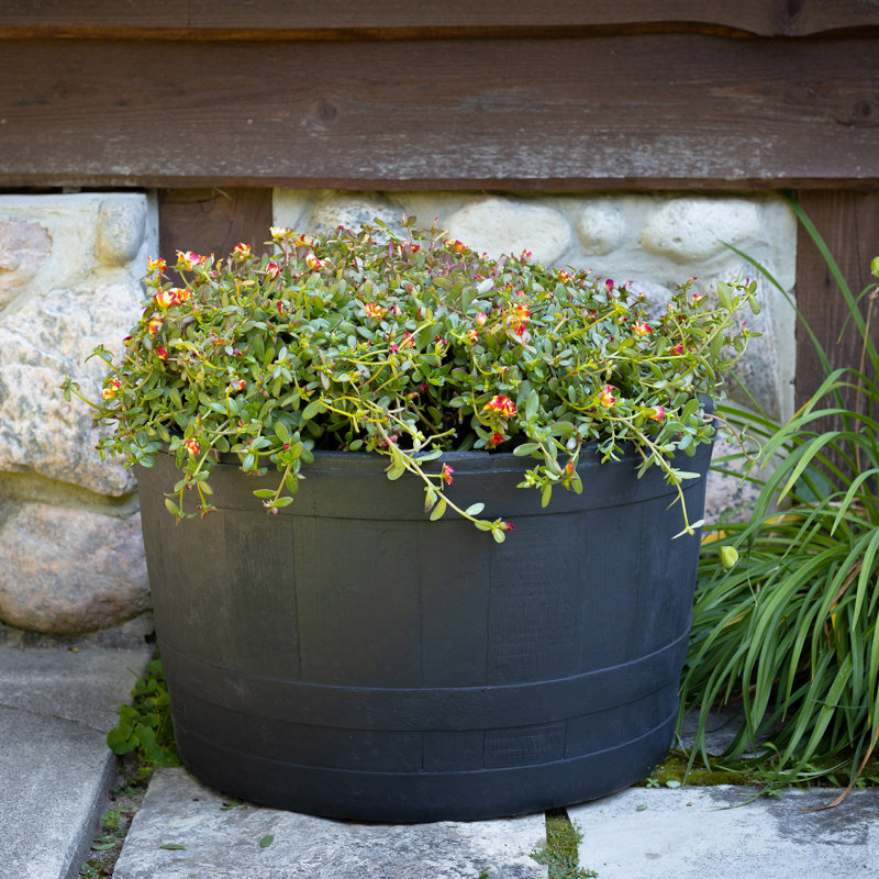 Madteos Barrel Planter, Black, 1 Piece