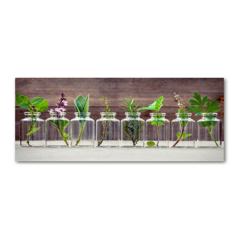 Plants In Jars - No Frame Print, Canvas, 50cm H x 125cm W x 2cm D