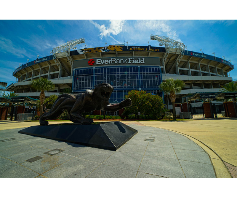 EverBank Field, H 12 po x l 18 po