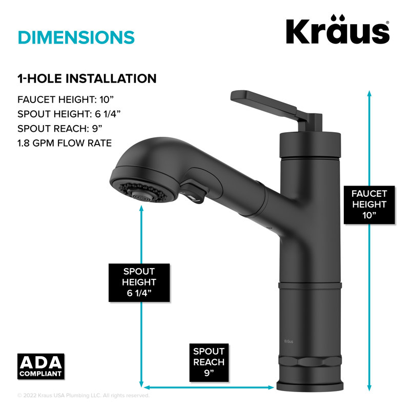 Allyn Pull-Out Single Handle Kitchen Faucet, Black