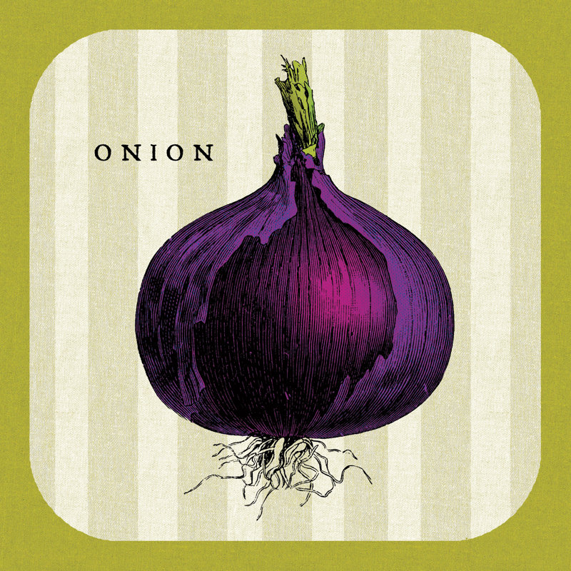 Linen Vegetable III by Studio Mousseau - No Frame Print on Canvas, 91cm H x 91cm W x 3.8cm D