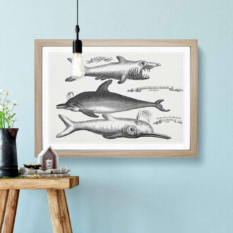 Shark and Dolphins by Thomas Astley - Picture Frame Drawing Print on MDF, 27cm H x 36cm W x 2cm D, Oak Framed
