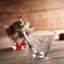 Lucy Stemless Martini Set Of 2
