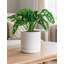 Ceramic Planter-1334710