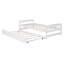 Lit plate-forme avec lit gigogne-444515716