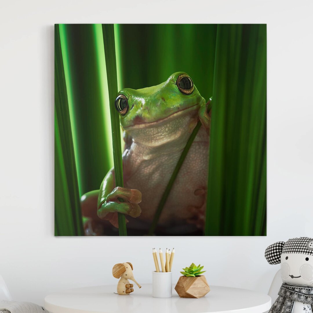 Leinwandbild Fröhlicher Frosch