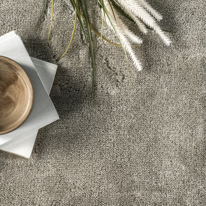 Loni Solid Machine Washable Accent Shag Rug for Living Room Bedroom Dining Room Nursery Entryway, Round 4'