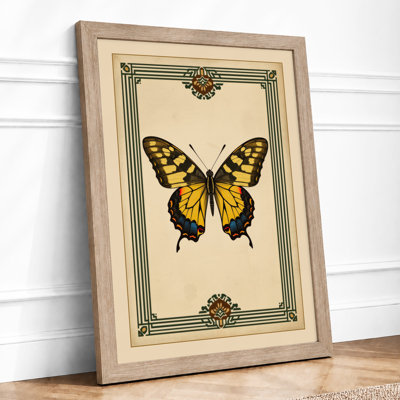 Golden Butterfly Study Vintage - Print