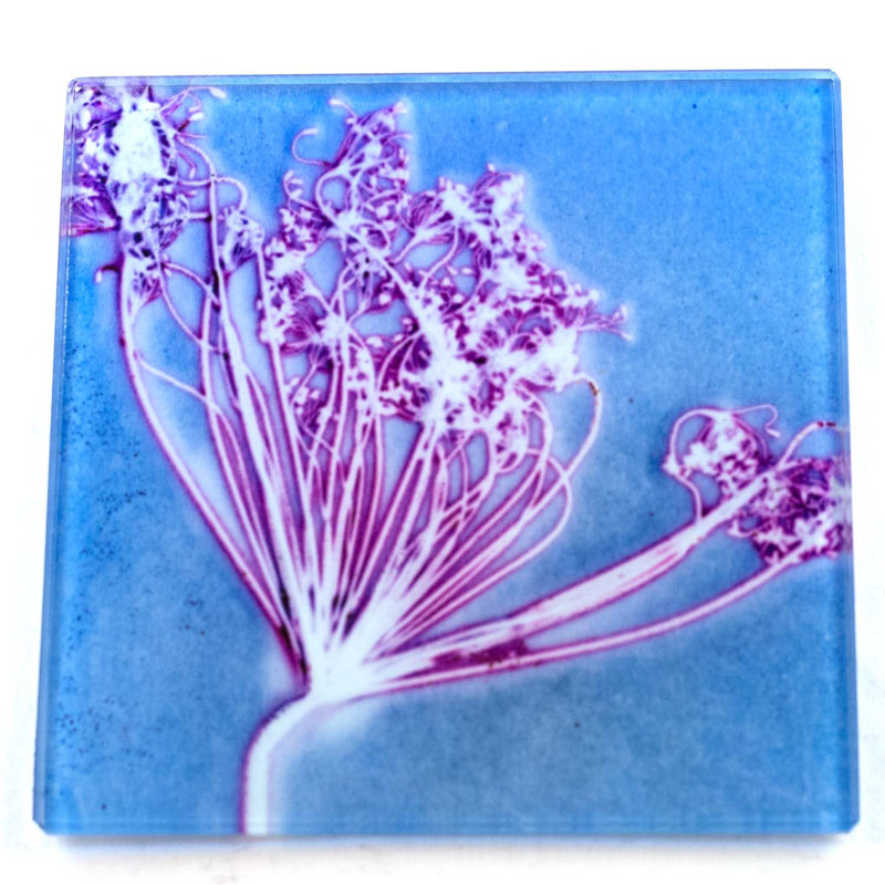 Cordeiro Glass Square 1 Piece Coaster, White