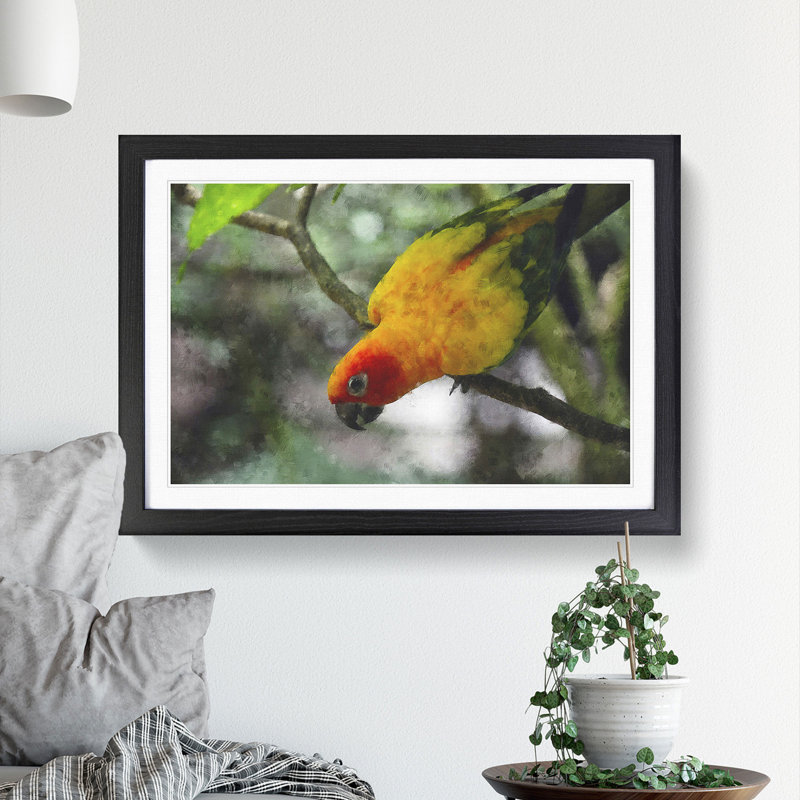 Parrot - Framed Print, 36cm H x 48cm W x 2cm D, Black Framed