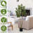 63"H Artificial Olive Tree 1pc/set