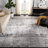 Leonidus Performance Rug-1465223683
