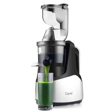 JiaChi 2-Speed Immersion Hand Blender – Caynel Direct