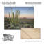 Cactus orgue au crépuscule sur bois-1685454371