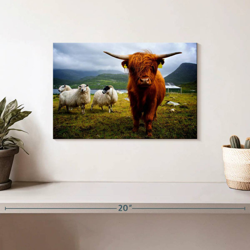 Brampt Highland Cow and Friends, H 8 po x l 12 po