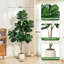 Faux Plant-1154738466