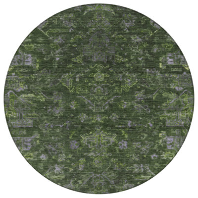 Machine Washable Indoor/Outdoor Chantille ACN2322 Global Rug