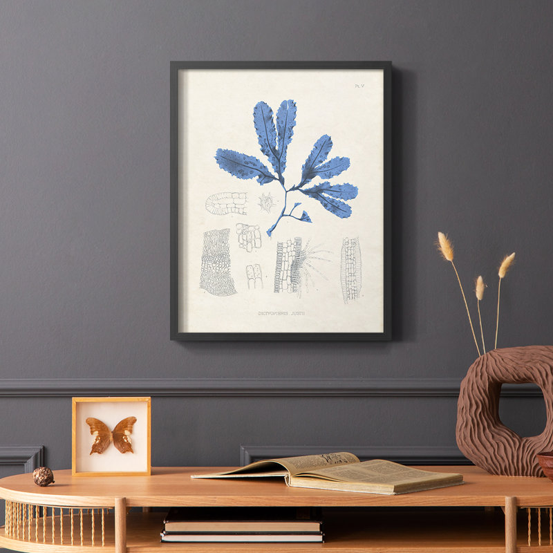 Blue Marine Algae VII, reproduction encadrée - bois massif, H 20 po x l 16 po, Cadre simple noir