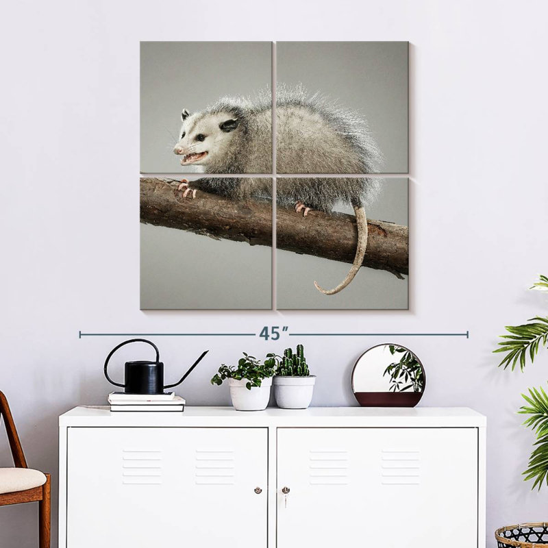 Brampt Snarky Opossum, 32" H x 32" W