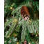 Green Realistic Spruce Christmas Tree with 500 LED Chasing Lights and Pinecones-1790913116