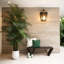 Plante-1929067214