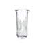 Engraved Fern Ascutney Bar Pitcher, Tall