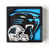 Carolina Panthers