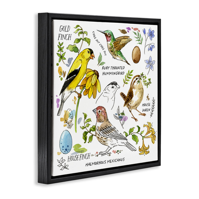 Art mural sur toile flottant encadré "local oiseaux" par Jane Maday, H 18 po x l 18 po, Cadre flottant orme Montalcino