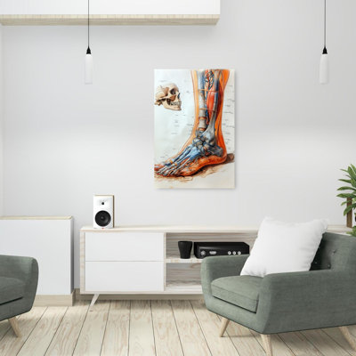 Anatomical Leg And Skull Vintage Wall Art