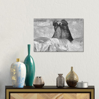 Northern Elephant Seal Bulls Fighting In Surf, Piedras Blancas, California by Tim Fitzharris - Wrapped Canvas Gallery-Wrapped Canvas Giclée