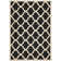 Arneshia Black Indoor/Outdoor Area Rug