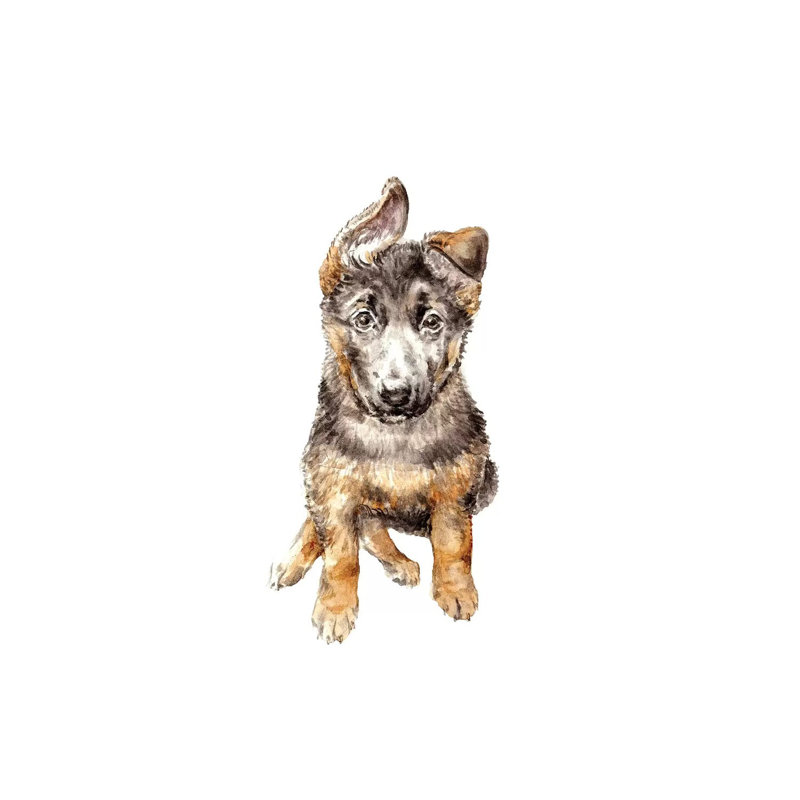 German Shepherd Puppy by Wandering Laur - Wrapped Canvas Painting, 20.32 cm H x 30.48 cm W
