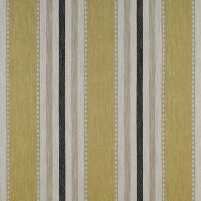 Rio Grande Striped Fabric