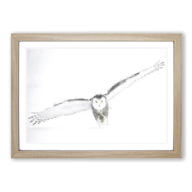 Snowy Owl - Single Picture Frame Painting on MDF, 45cm H x 63cm W x 2cm D, Oak Framed
