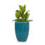 Pot de fleurs Cyan-898867317