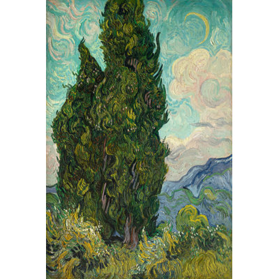 Cyprès I