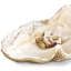Imperial Clam-17648924