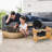 Anti-Skid Elevated Feeder
