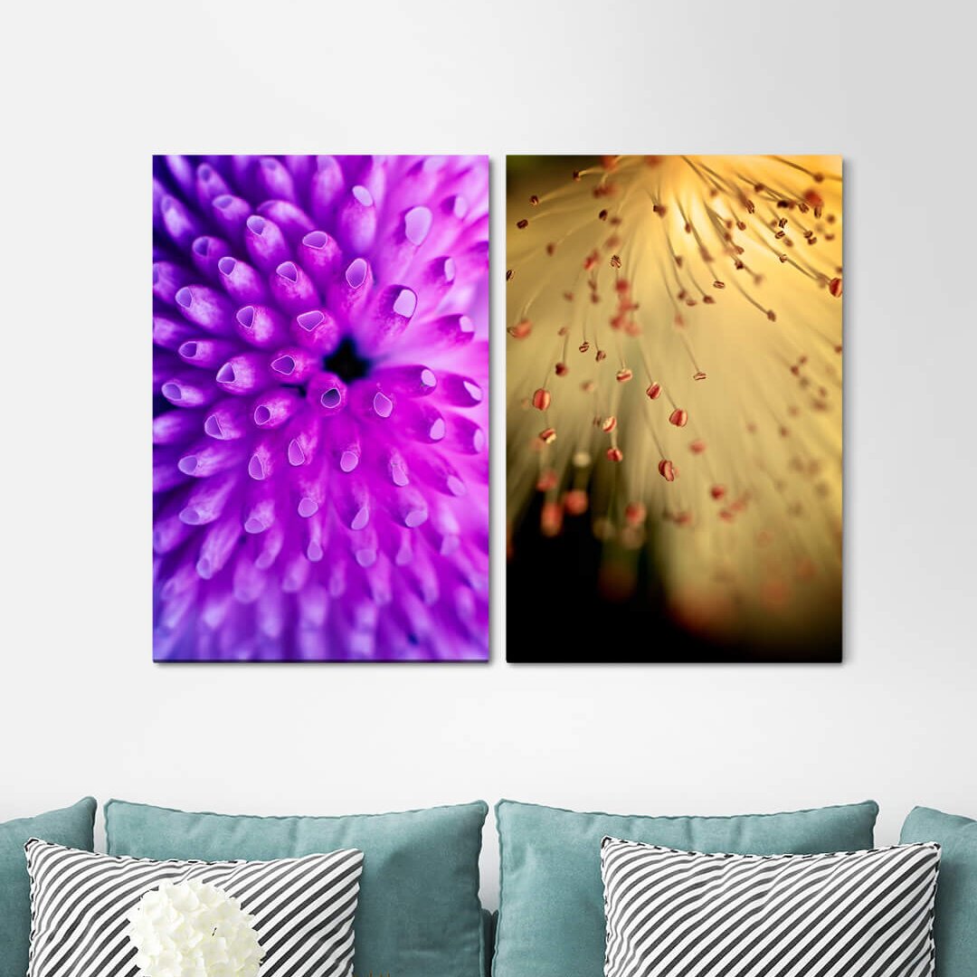 2-tlg. Leinwandbilder-Set - Fotografie „Coral Underwater Blossom Violet”