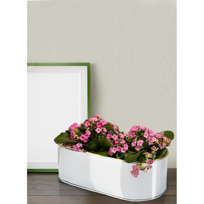 Jardinière ovale en acier Ebern Designs