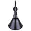 Luminaire de grange d'extérieur 1 lumière H 18,75 po Bisen Black