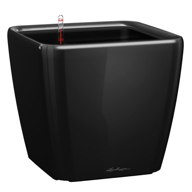 Quadro Premium Pot Planter, Black, 20cm H x 21cm W x 21cm D