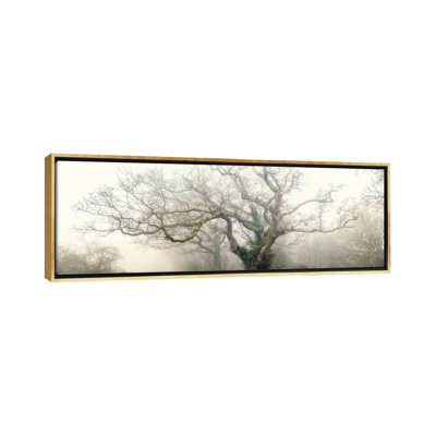 " Panoramic Octopus Ghost Oak " by Philippe Manguin
