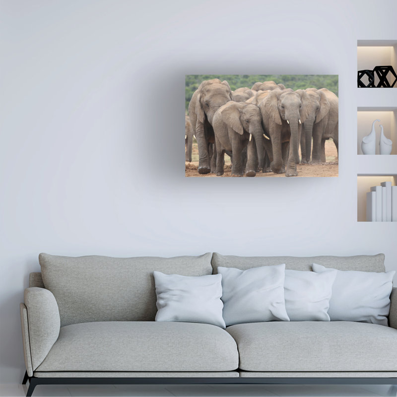Art sur toile éléphant, Bob Bob Langrish, H 12 po x l 19 po