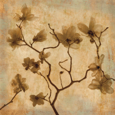 Magnolias I - Wrapped Canvas Print