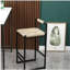 Ensemble de 2 chaises de bar Lotus Leaf